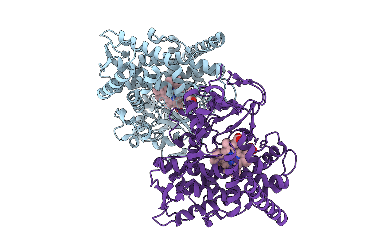 1YQP image