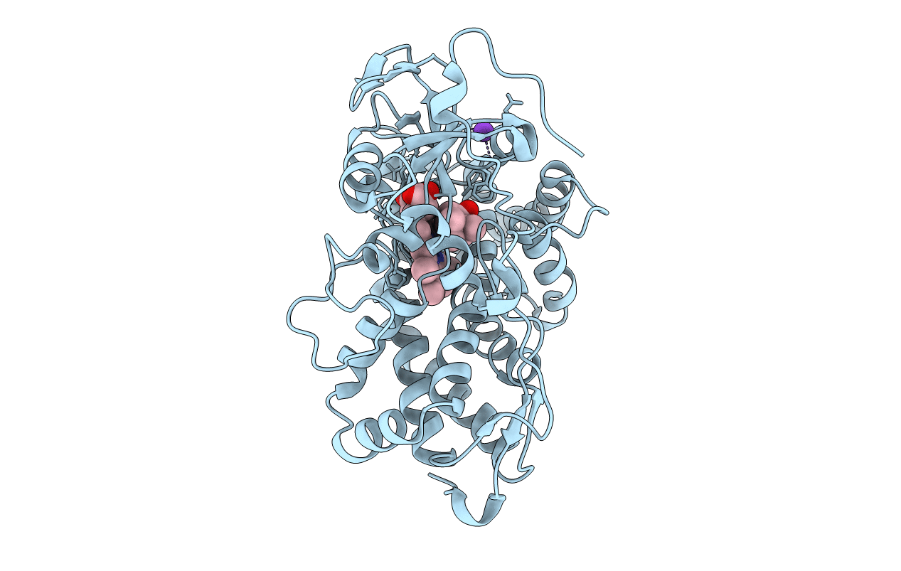 1YRC image