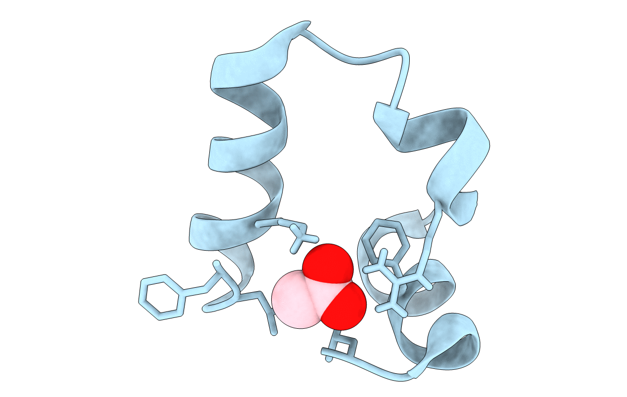 1yri image