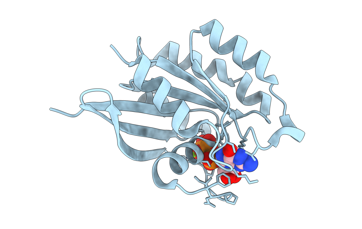 1YVD image