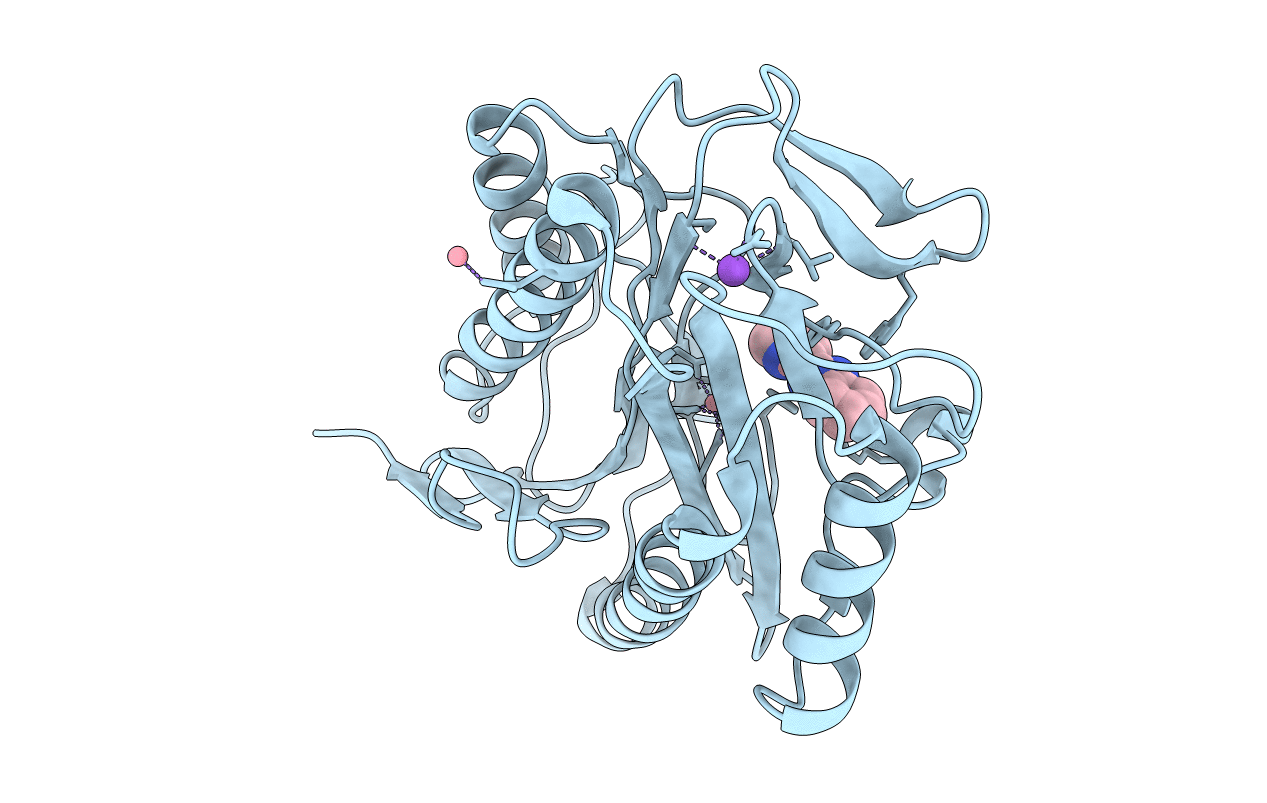 1YVM image