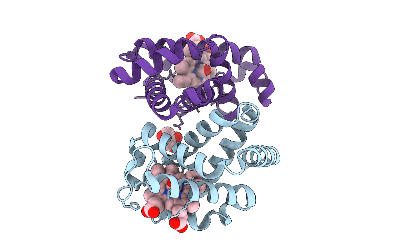 1YVT image
