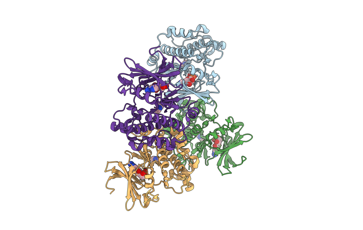 1YXU image