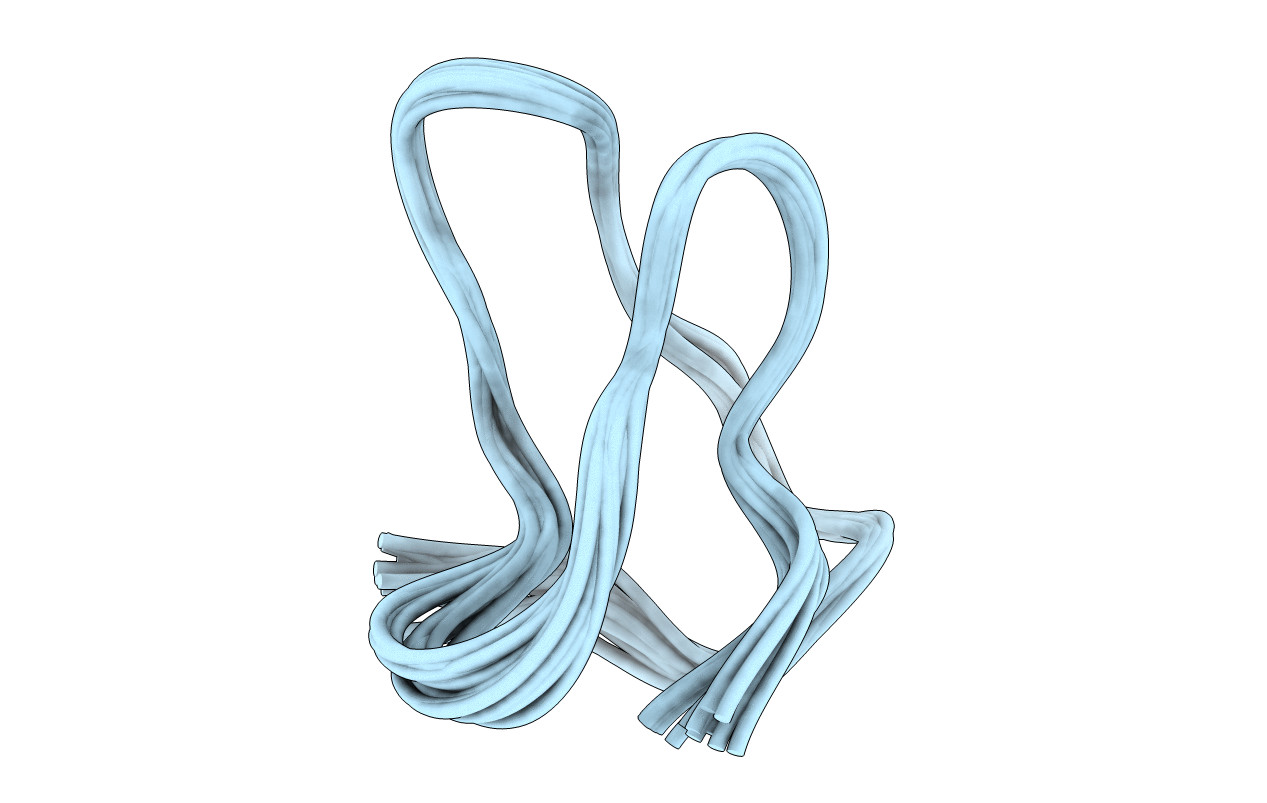 1YZ2 image
