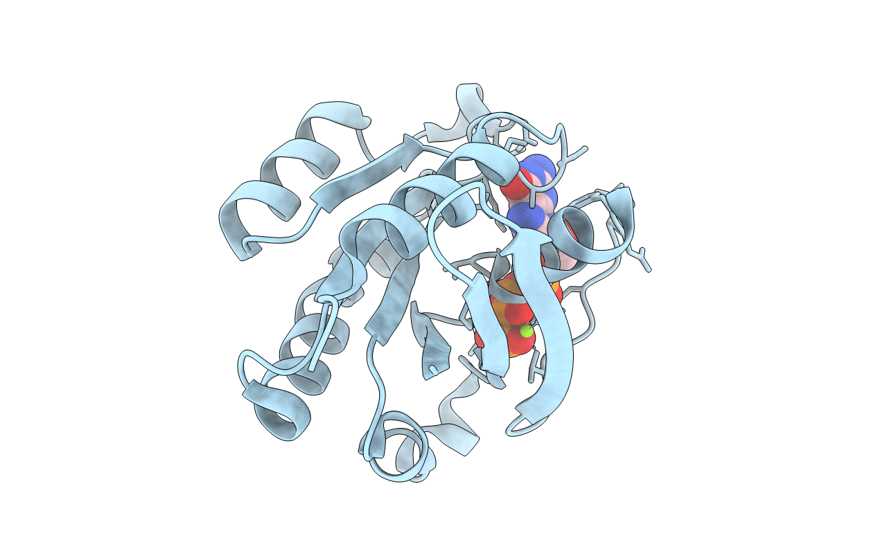 1YZQ image