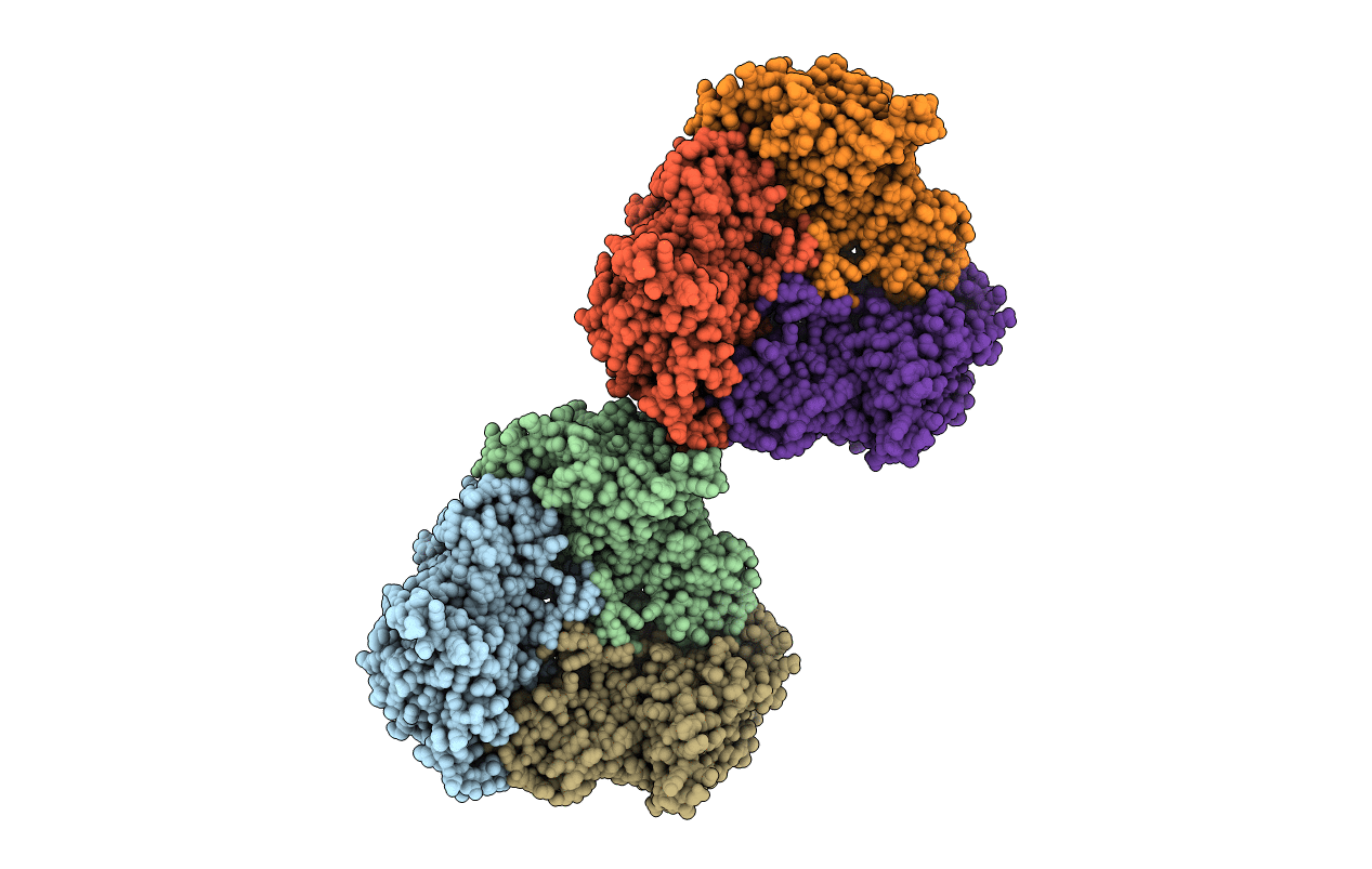 1Z01 image
