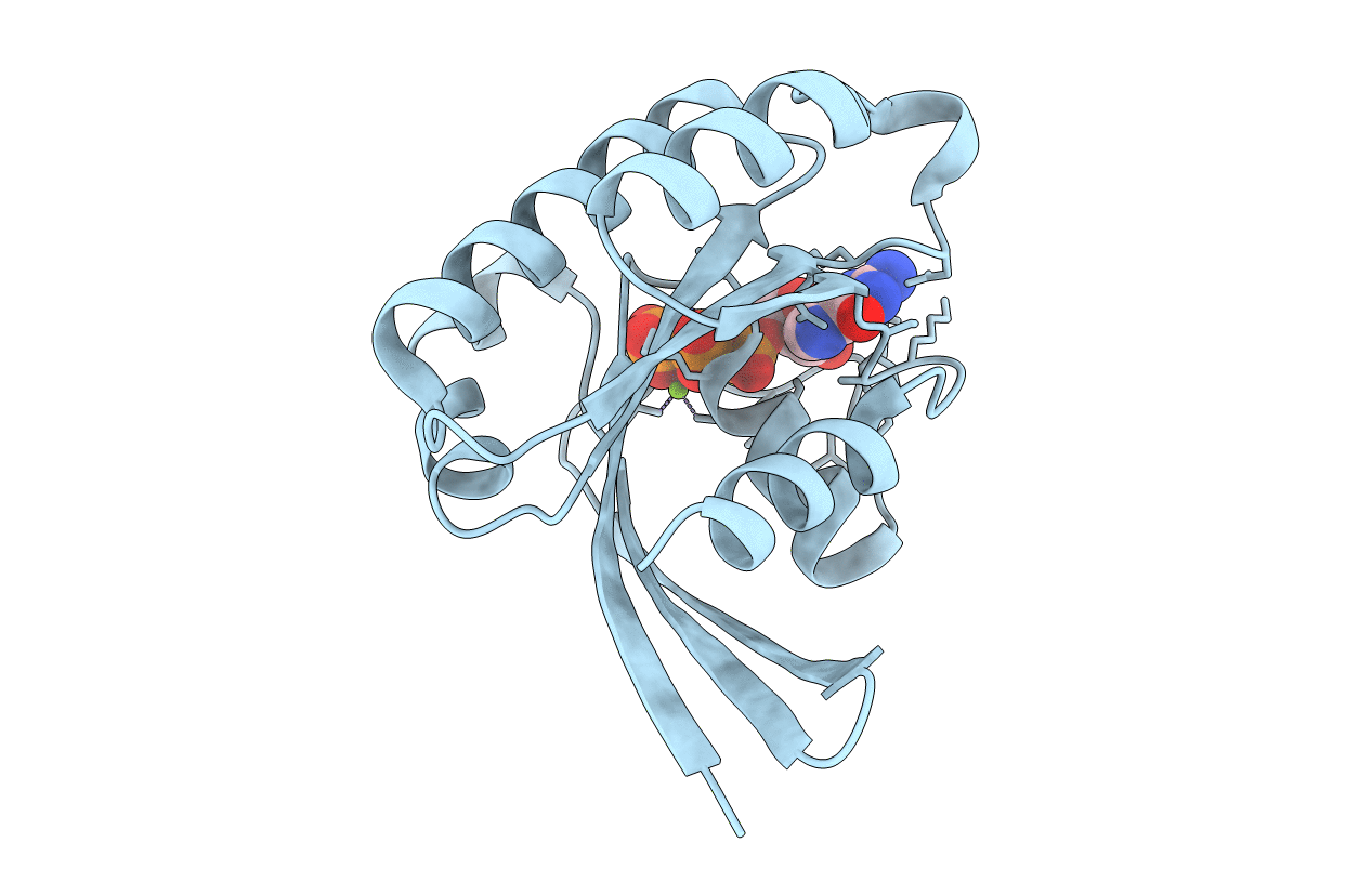 1Z07 image