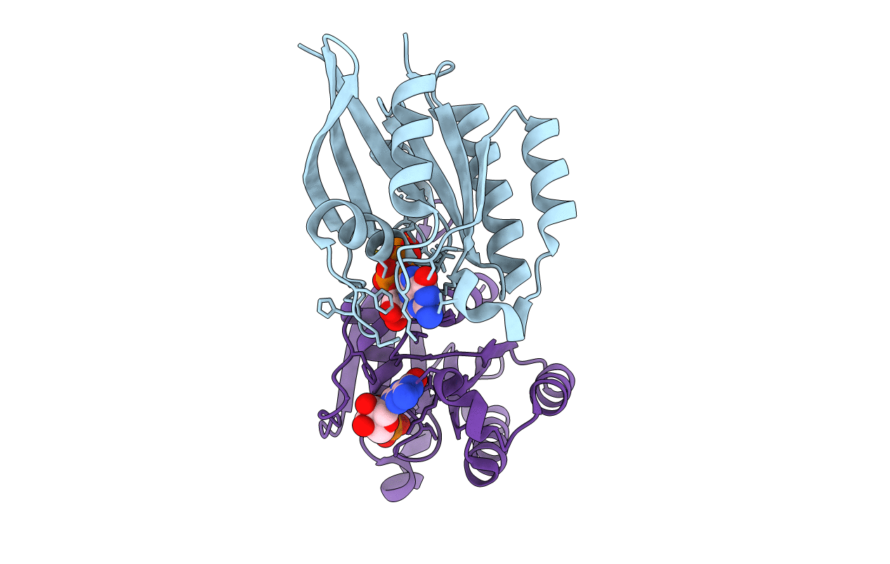 1Z0D image