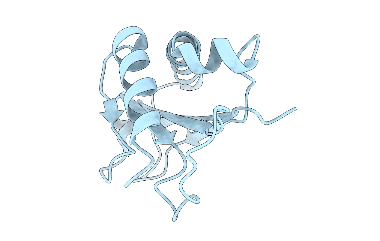 1Z1Z image