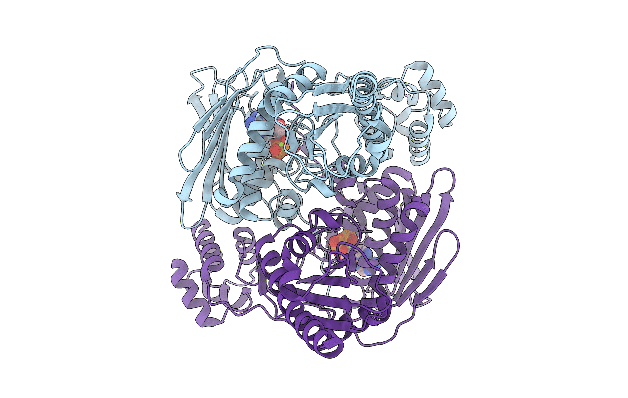 1Z5A image