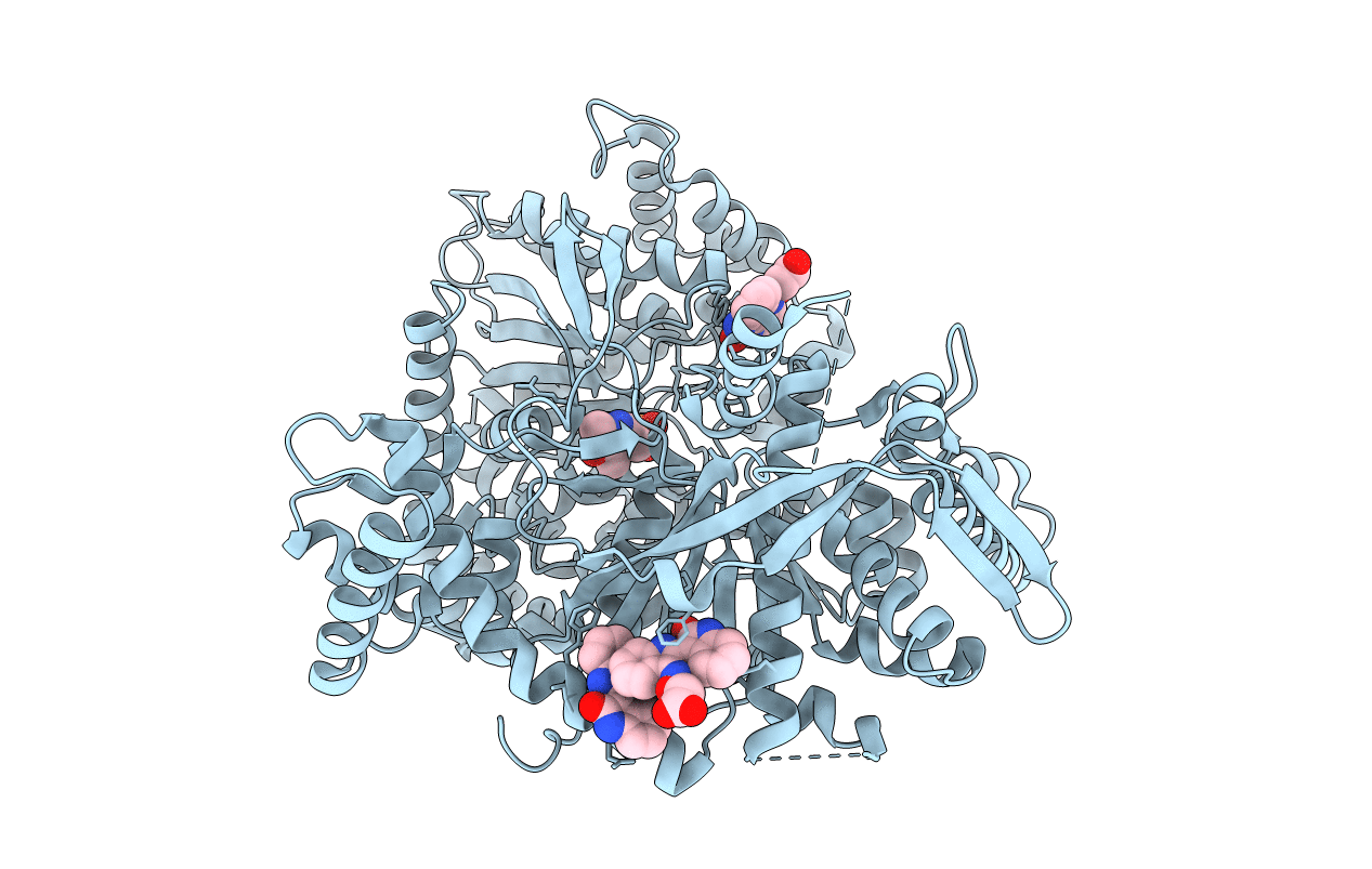 1Z62 image
