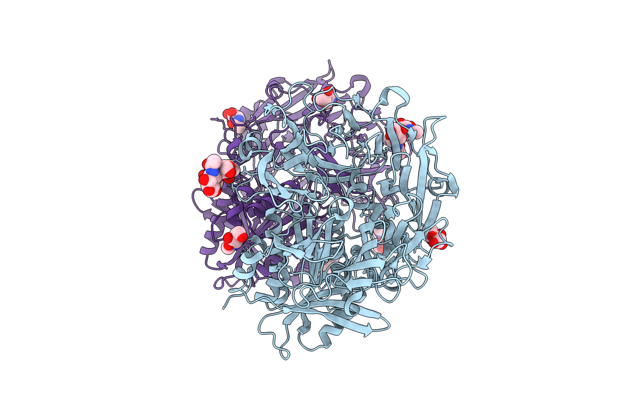 1Z68 image
