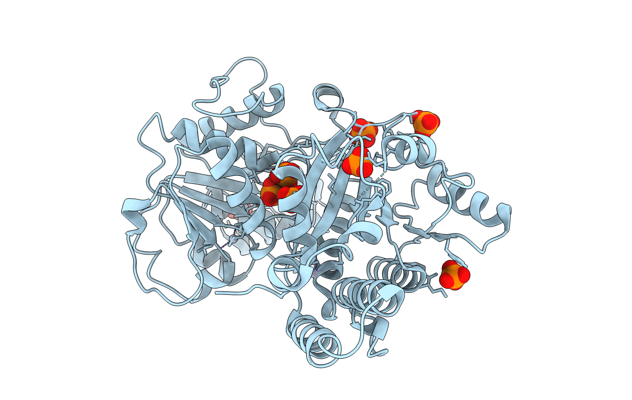 1Z6A image