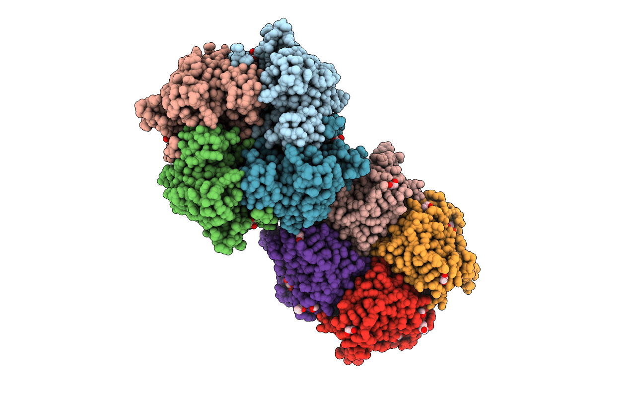 1Z7A image