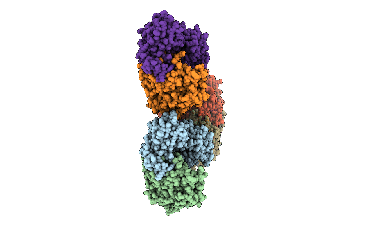 1Z7D image