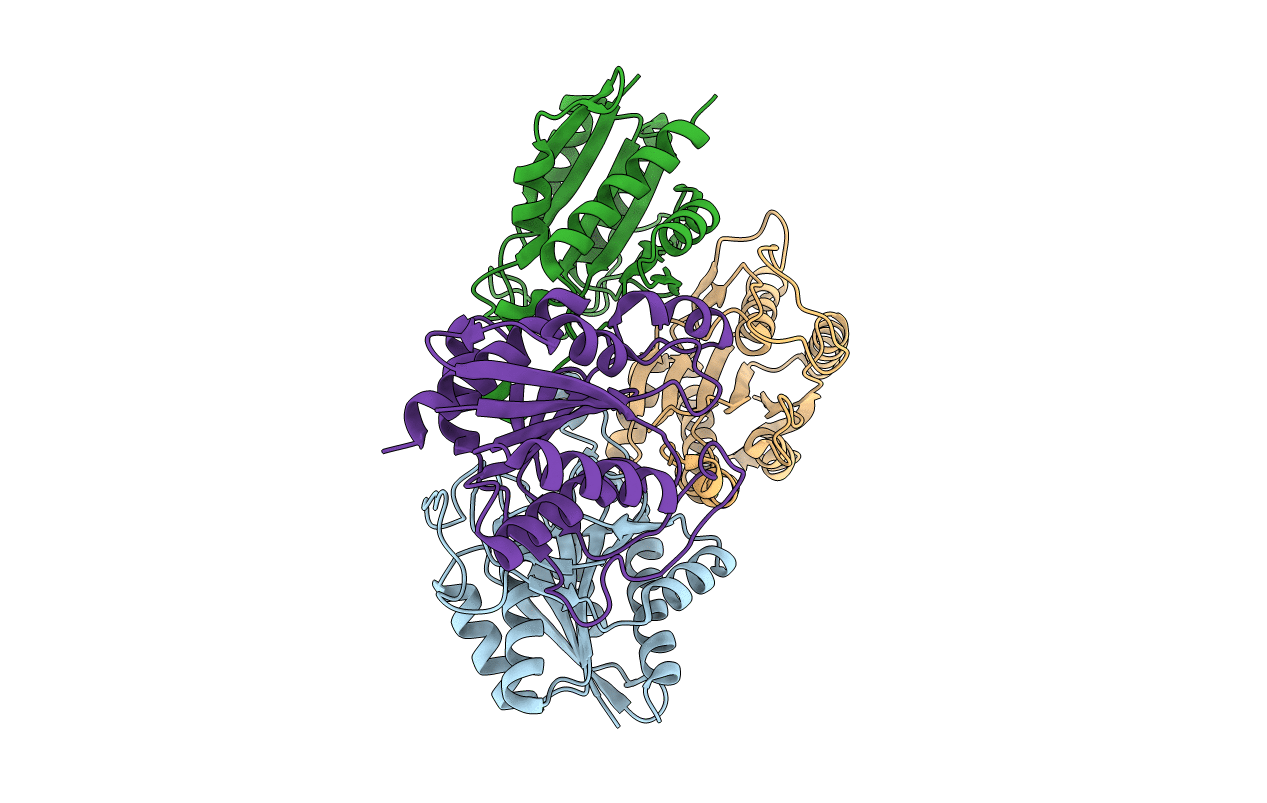 1Z8X image