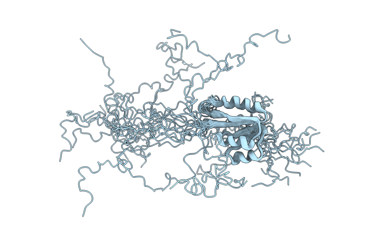 1Z9B image