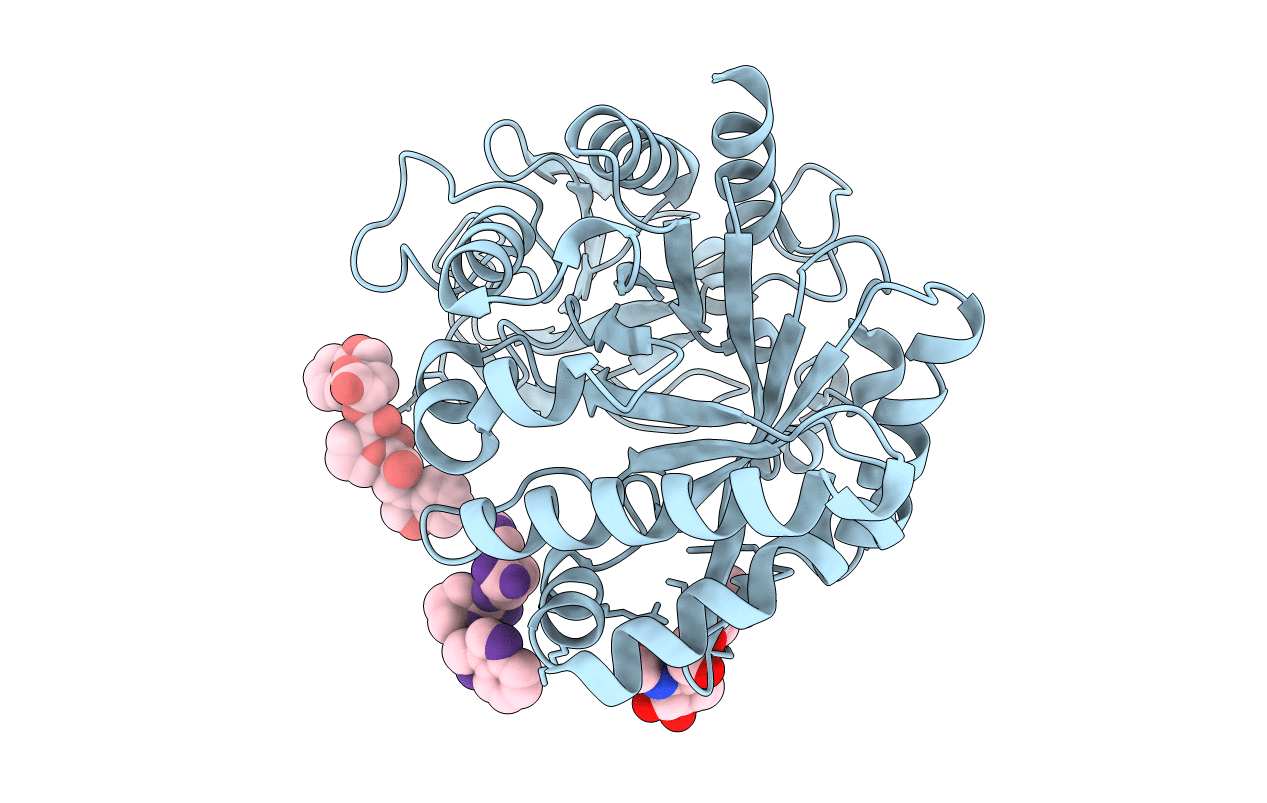 1ZB5 image