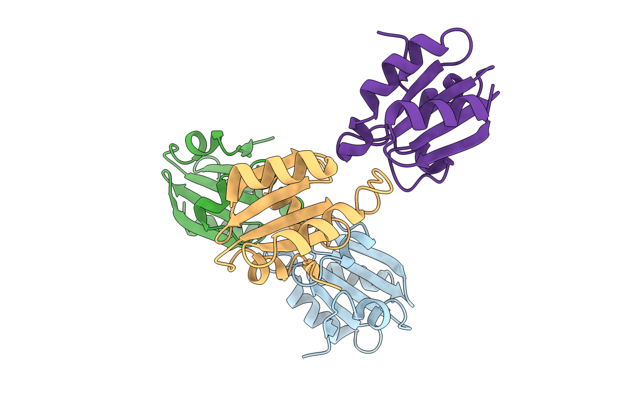 1ZCP image