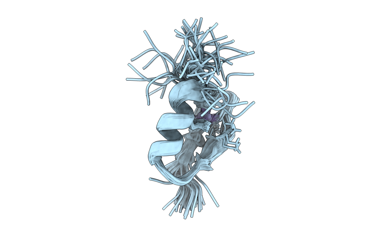 1ZFD image