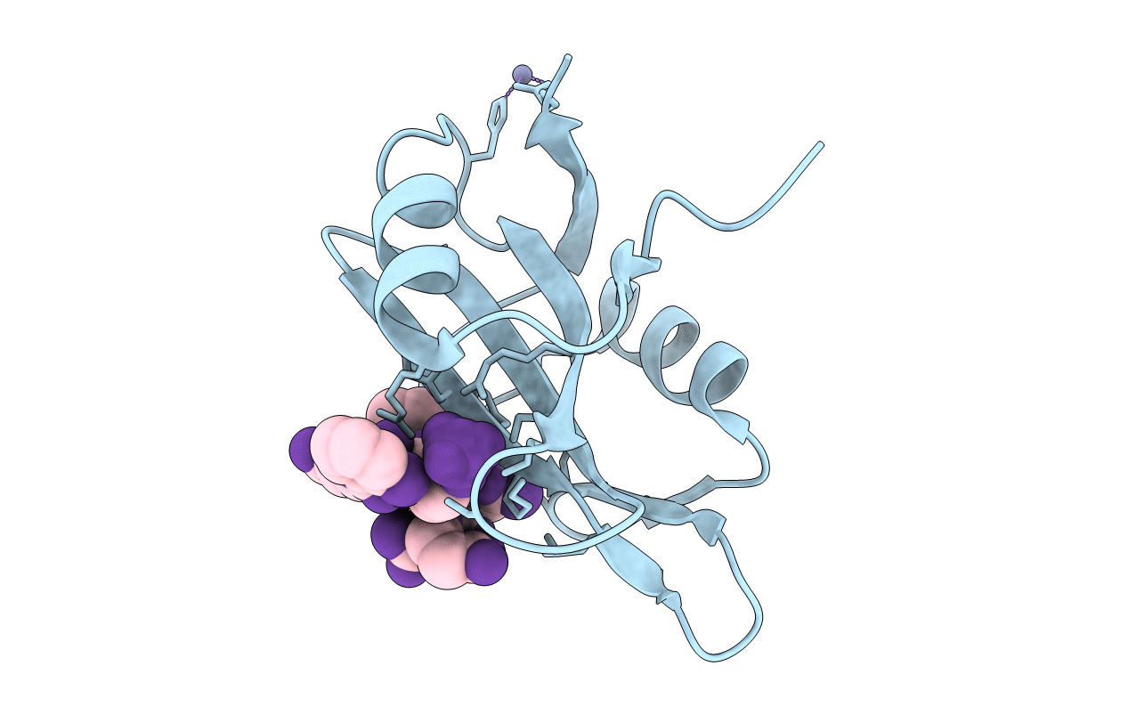 1ZFP image