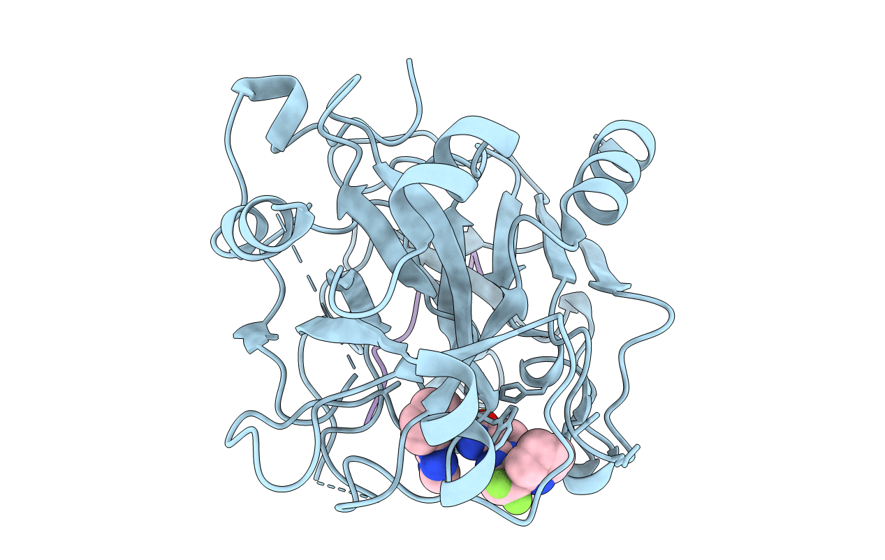 1ZGI image