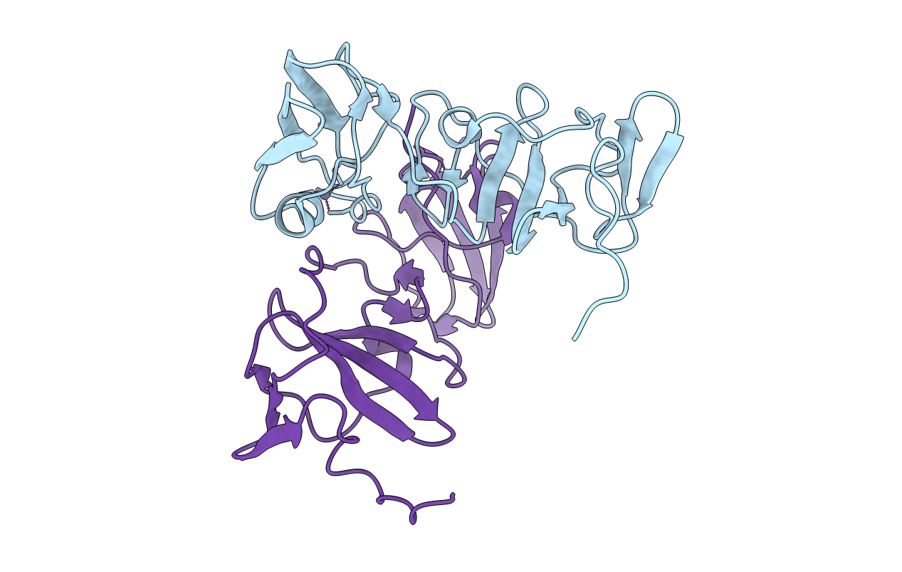 1ZH1 image