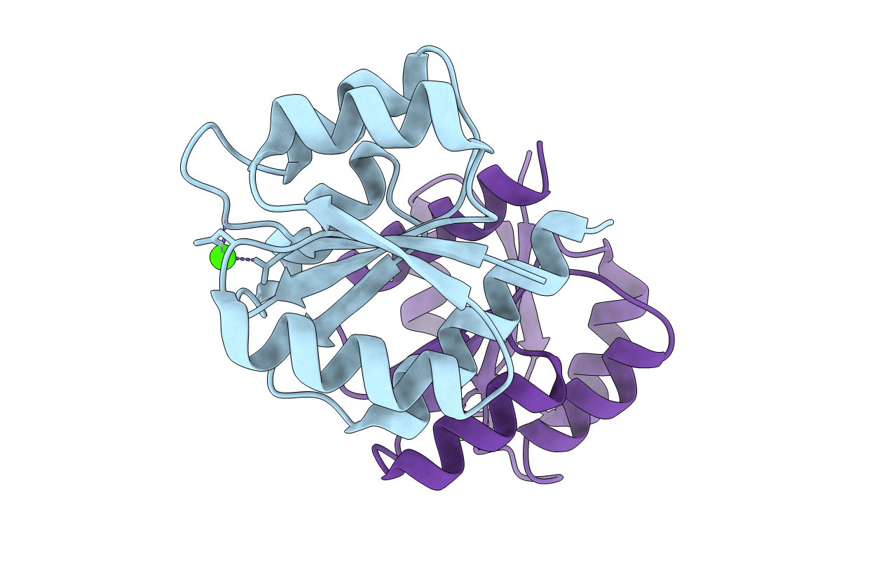 1ZH2 image