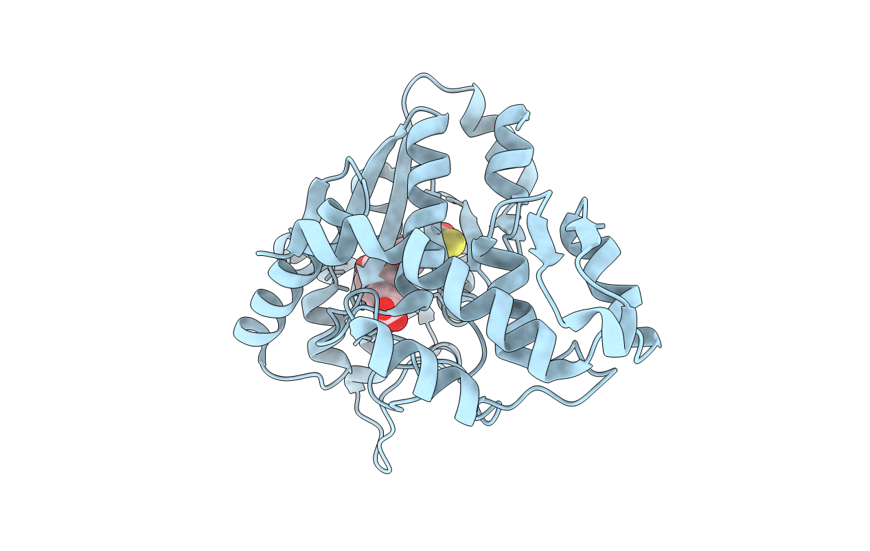 1ZH6 image