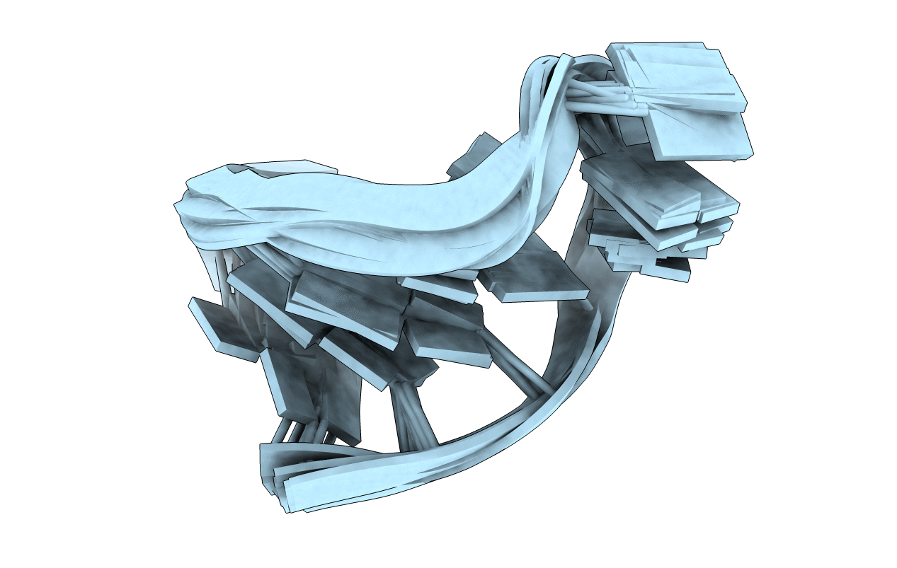 1ZIG image