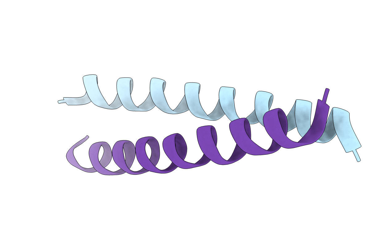 1ZIL image