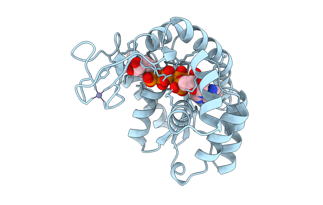 1ZIN image