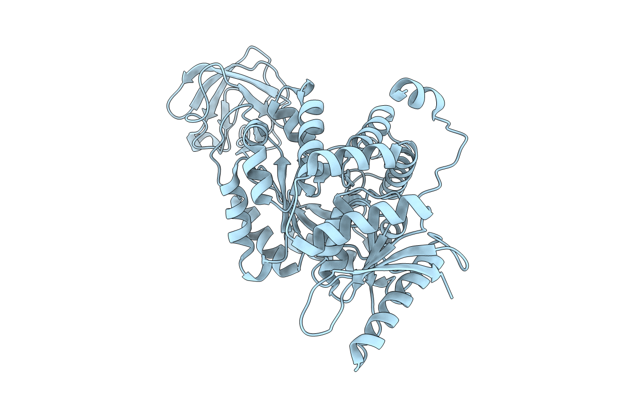 1ZJH image