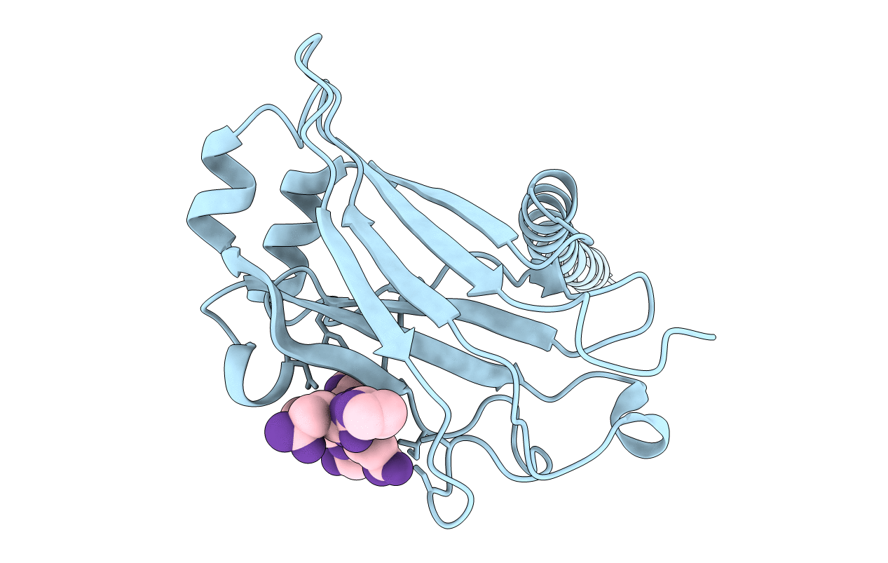 1ZMS image
