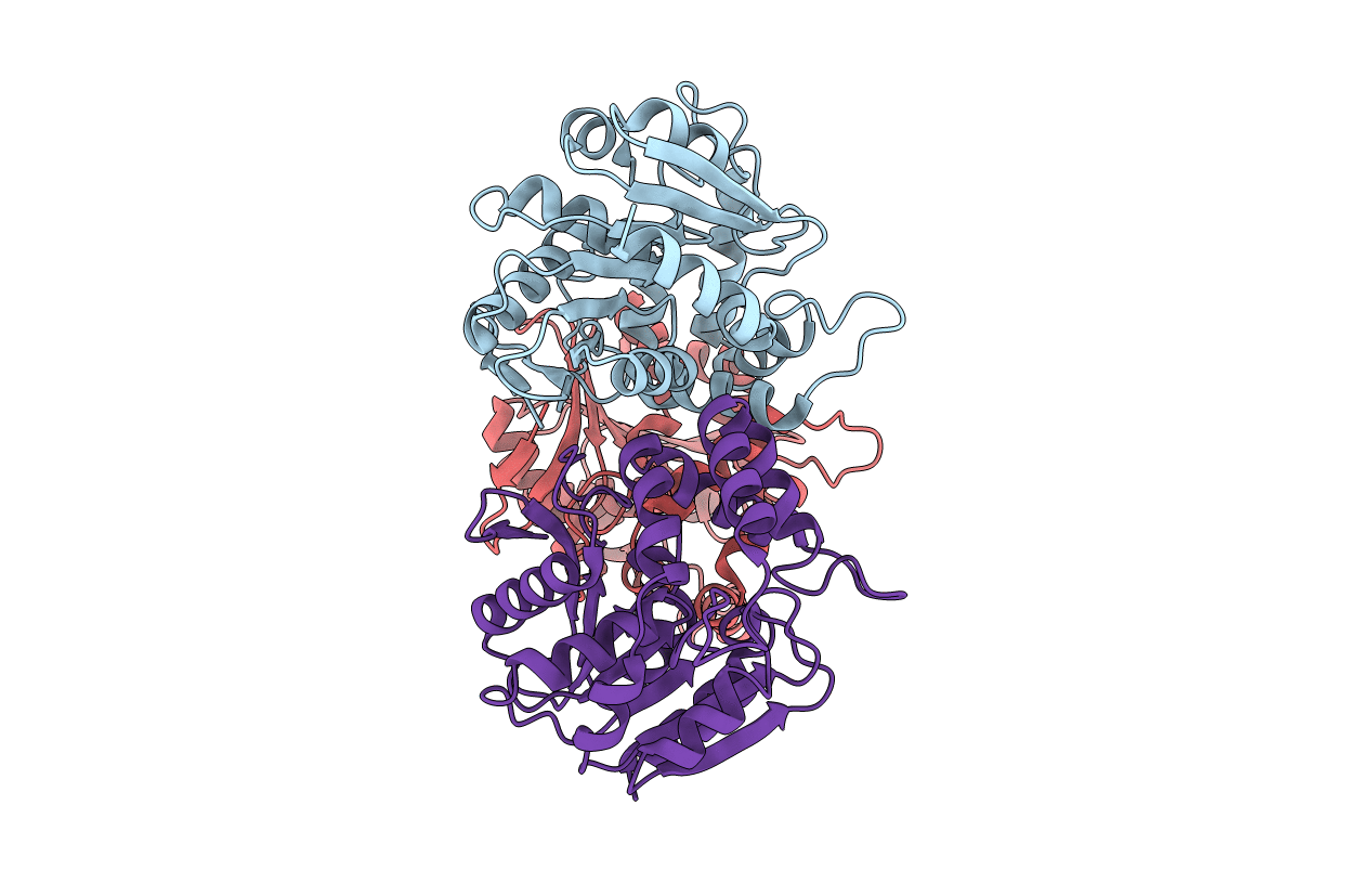 1ZOI image