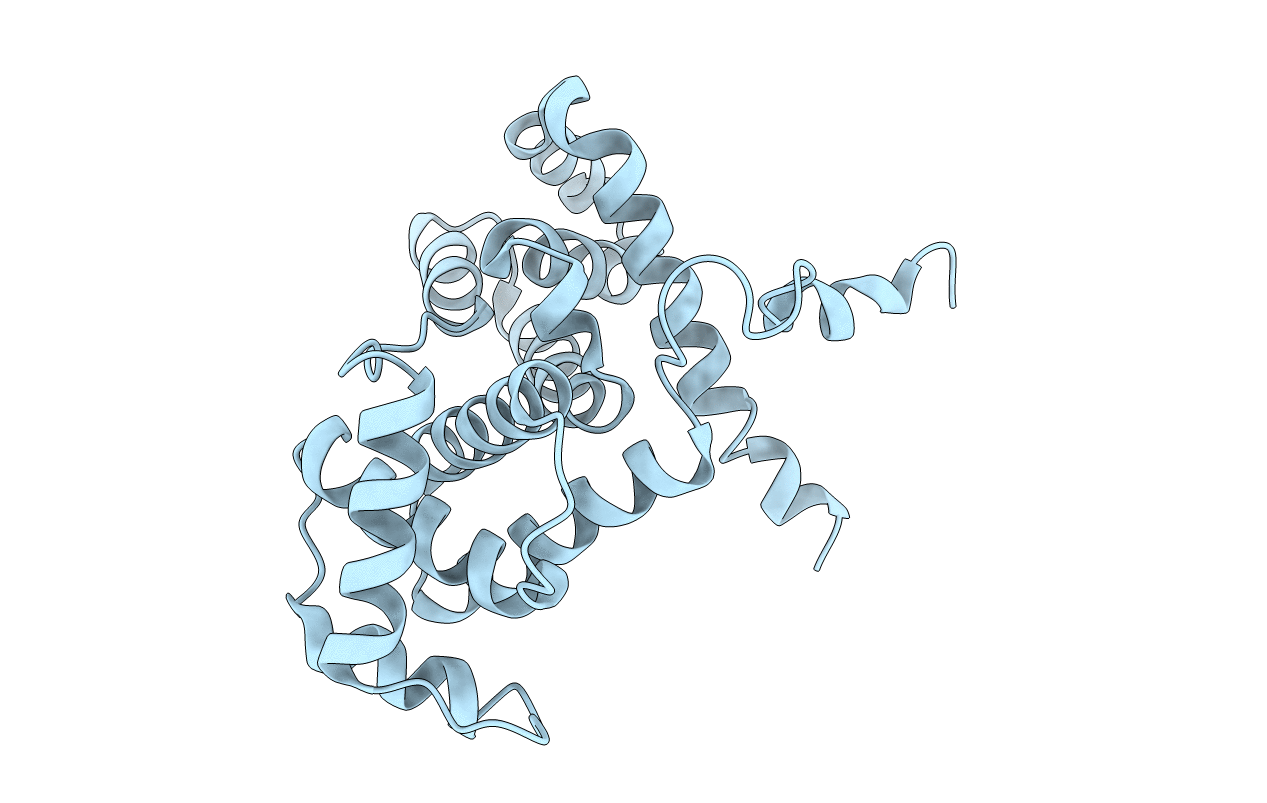 1ZP2 image