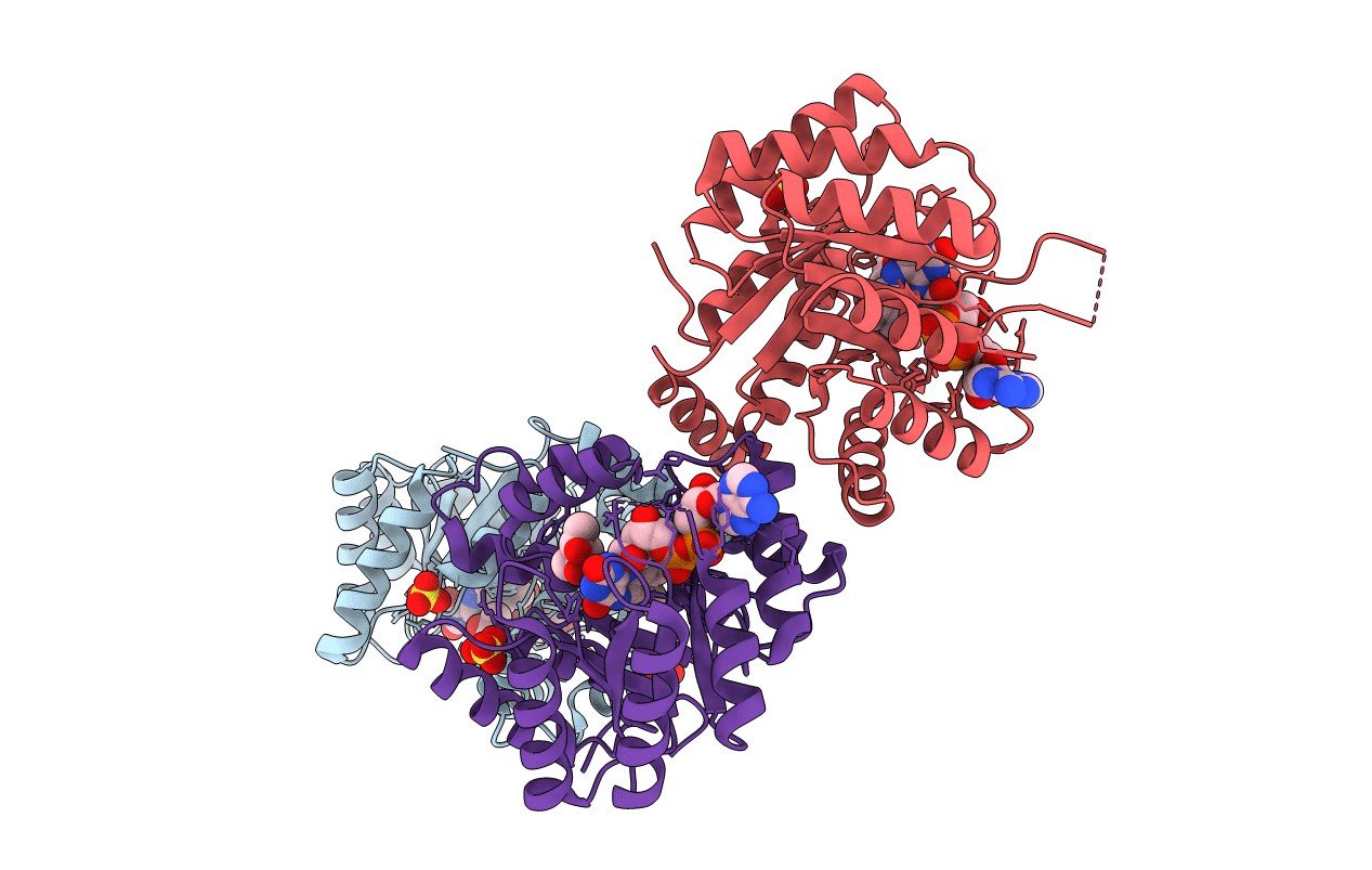 1ZP3 image