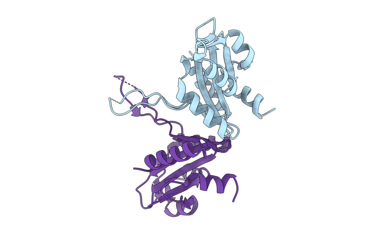 1ZP7 image