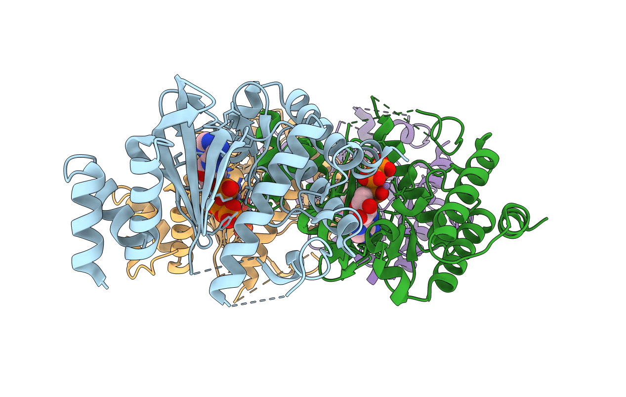 1ZP9 image