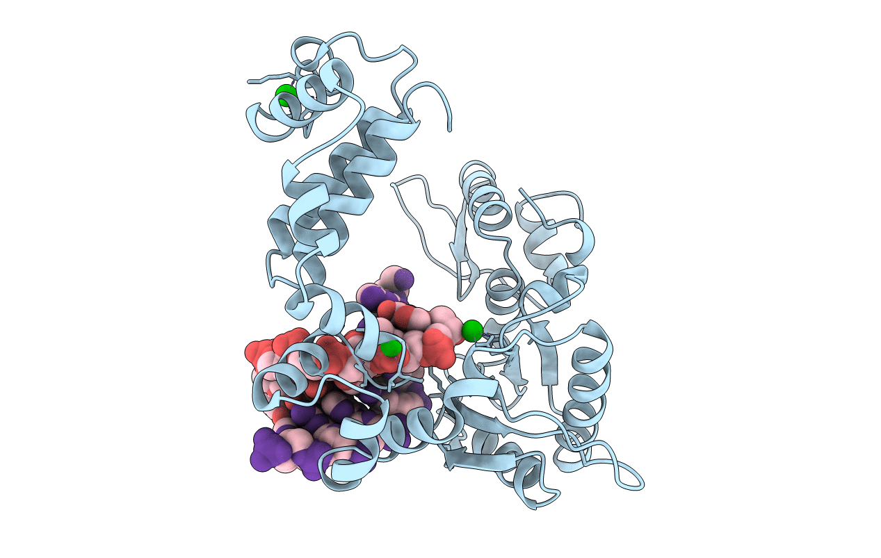 1ZQB image