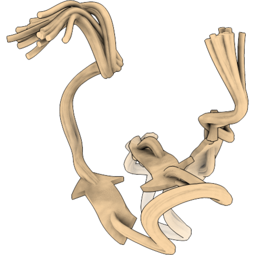 1ZR7 image