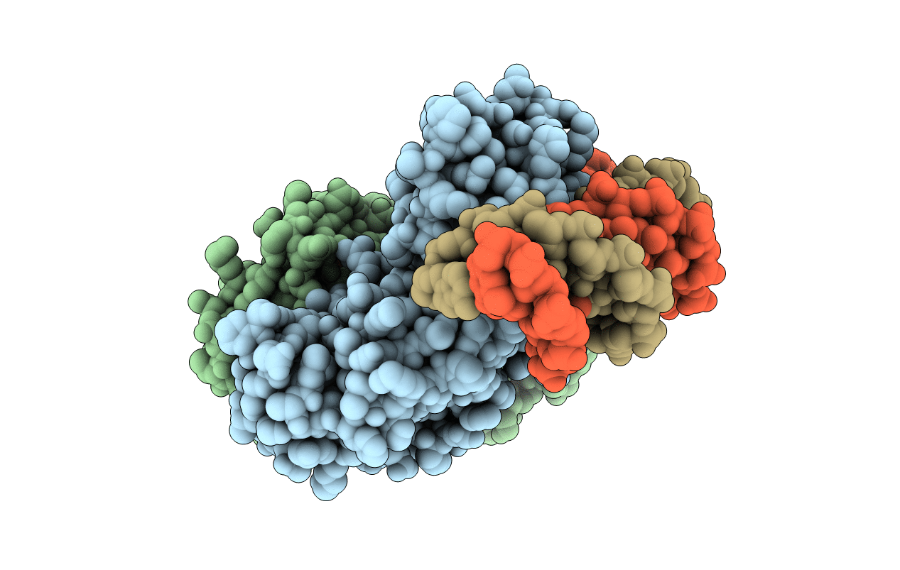 1ZRC image
