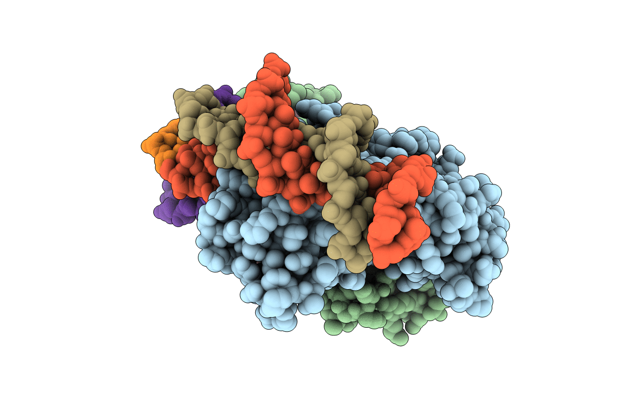 1ZRF image
