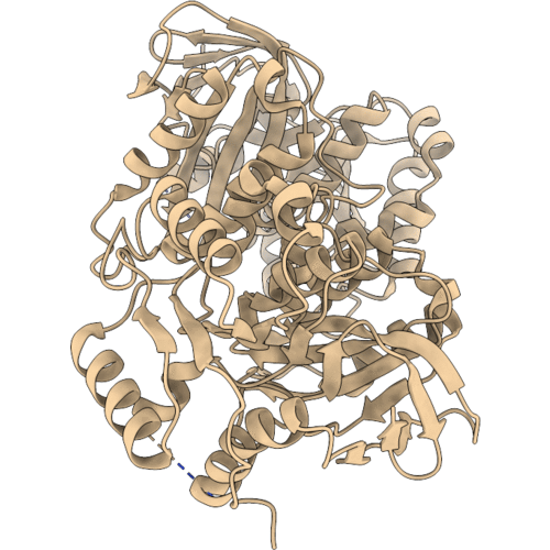 1ZRS image