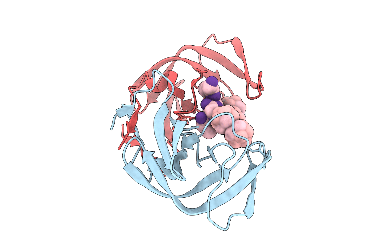 1ZTZ image