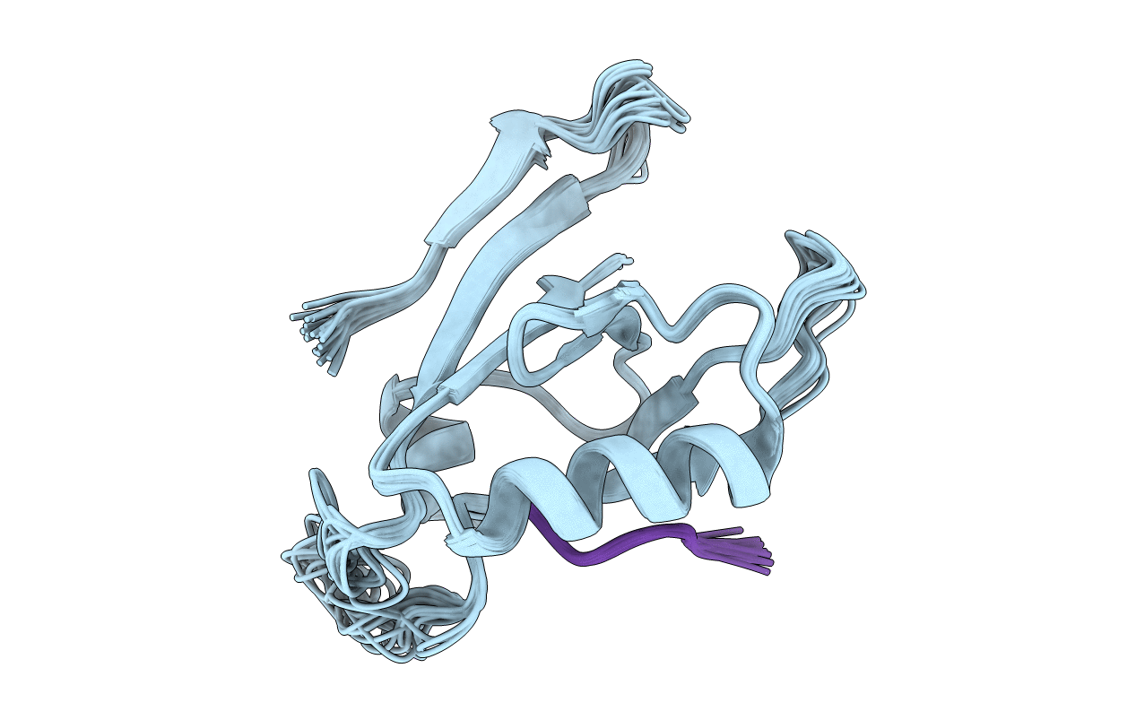 1ZUB image