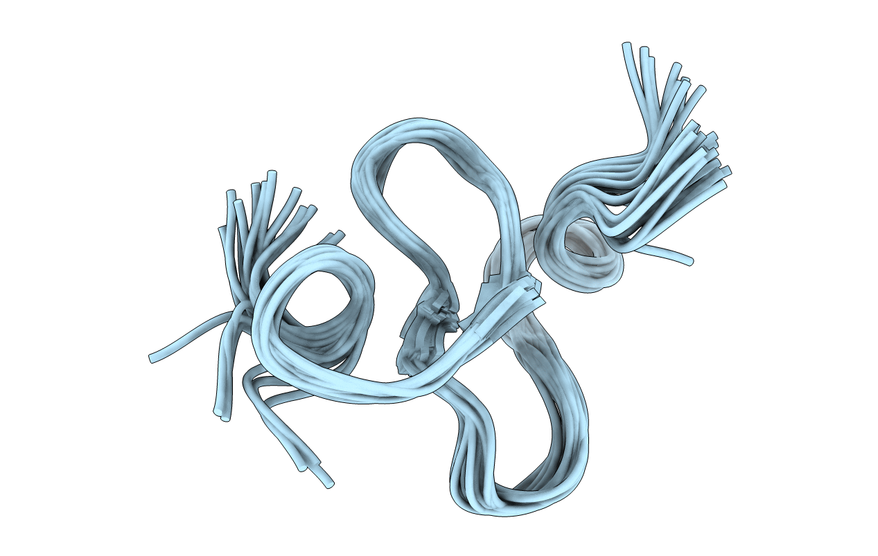 1ZUV image