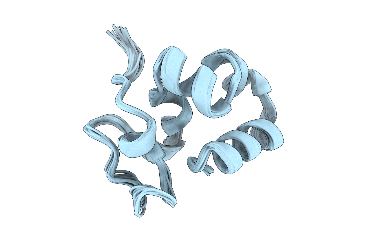 1ZV6 image