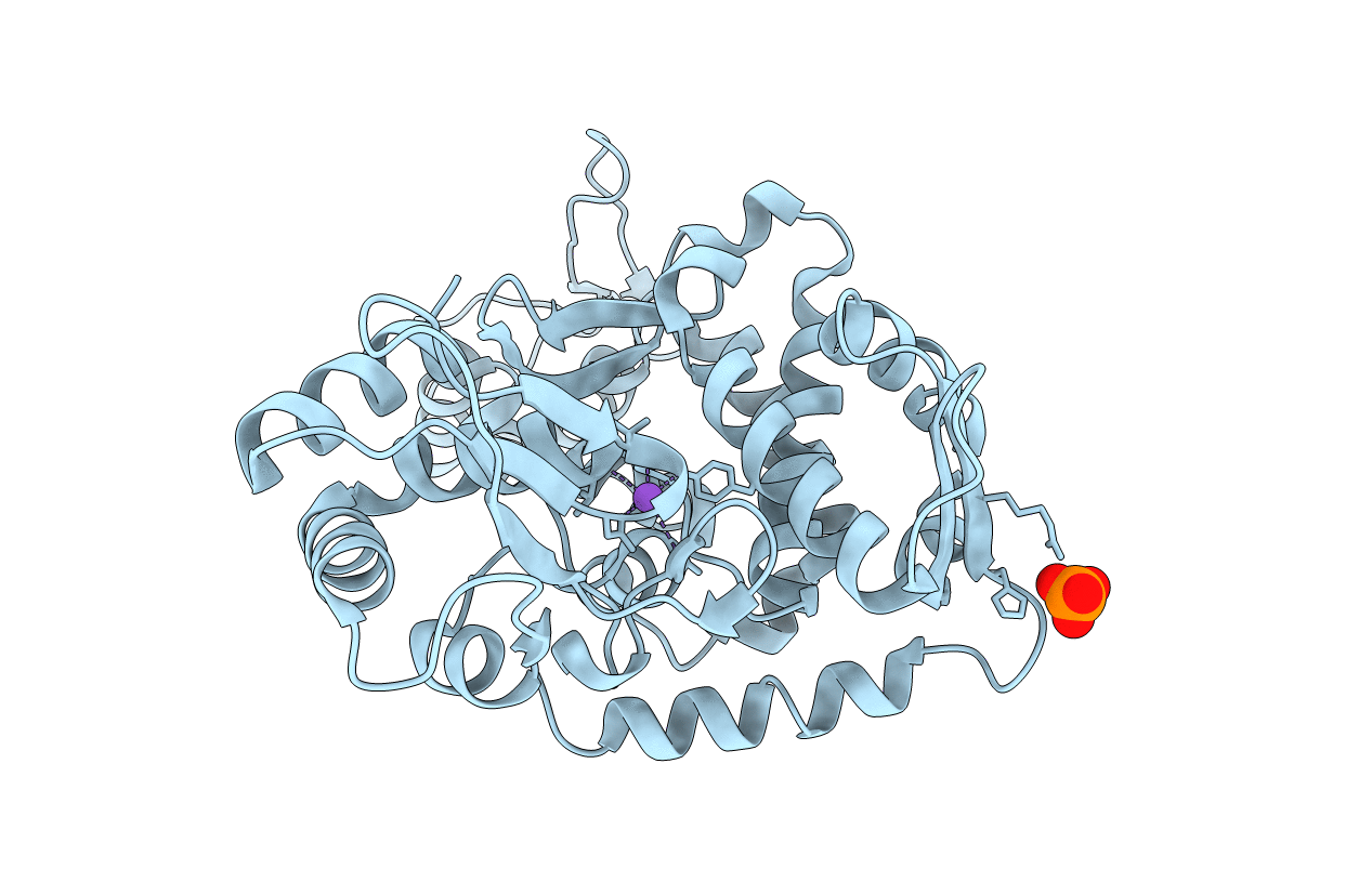 1zvd image
