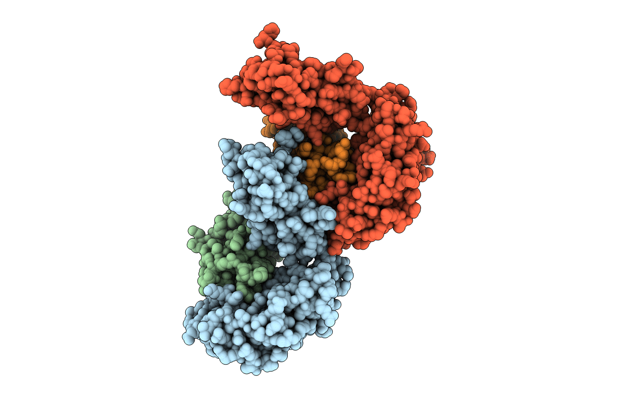 1ZVS image
